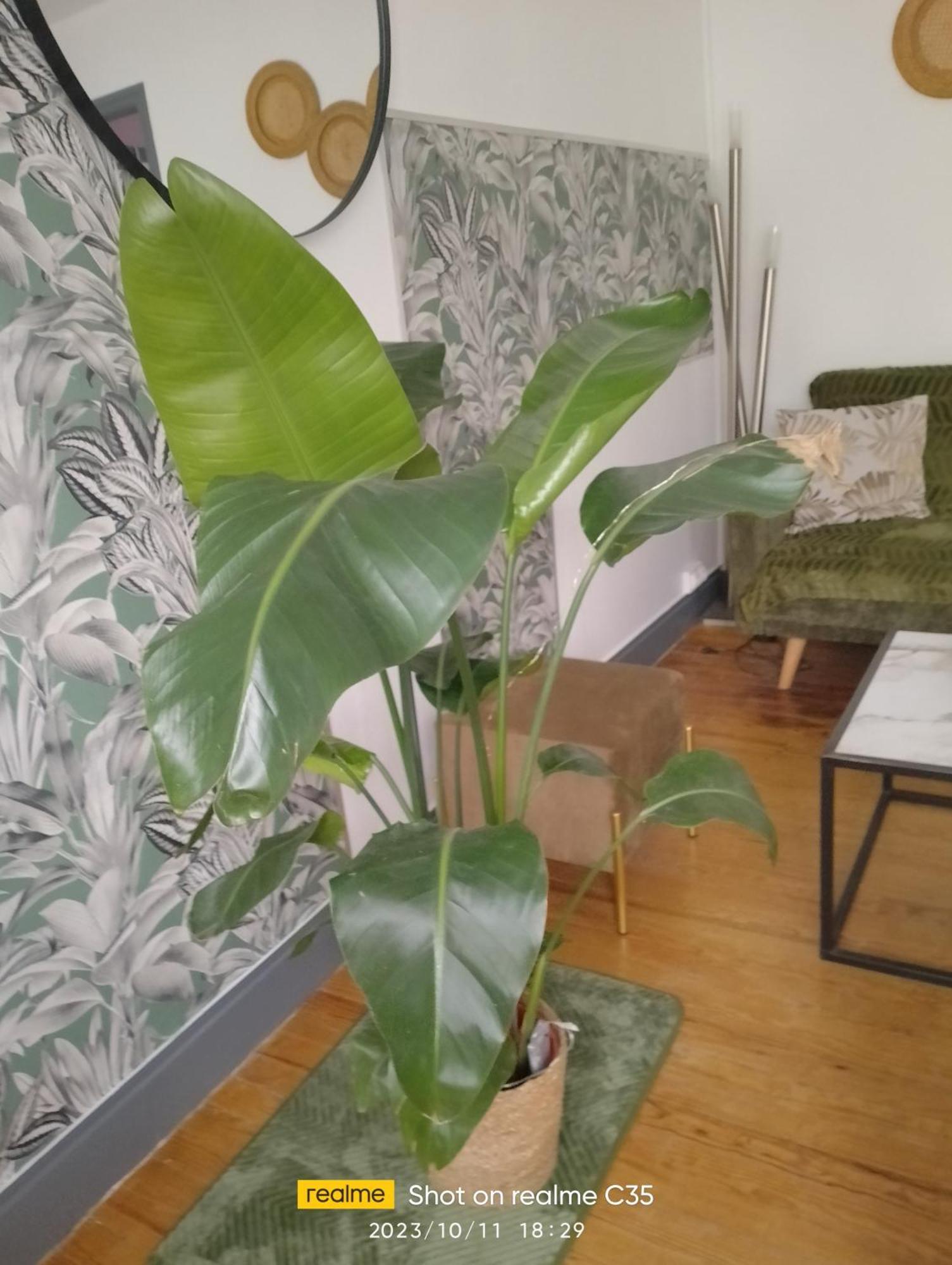 Le Rayon Apartment Ault